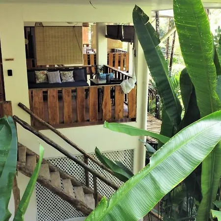 Colibri Apartments - 4 Min Walk To The Beach! Playa Santa Teresa  Exterior foto