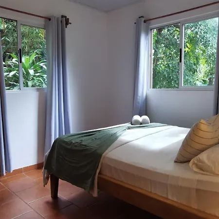 Colibri Apartments - 4 Min Walk To The Beach! Playa Santa Teresa  Exterior foto