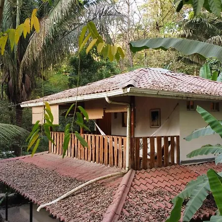 Colibri Apartments - 4 Min Walk To The Beach! Playa Santa Teresa  Exterior foto