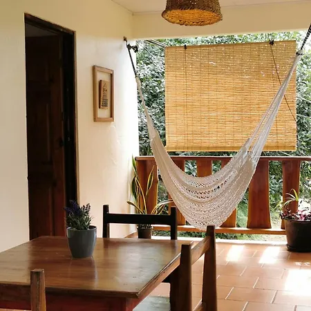 Colibri Apartments - 4 Min Walk To The Beach! Playa Santa Teresa  Habitación foto