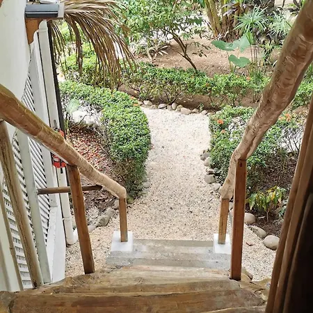 Colibri Apartments - 4 Min Walk To The Beach! Playa Santa Teresa  Habitación foto