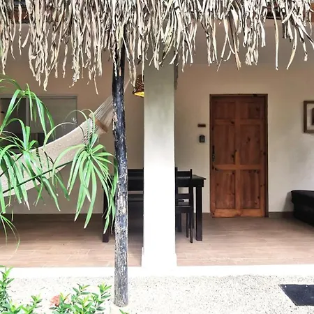 Colibri Apartments - 4 Min Walk To The Beach! Playa Santa Teresa  Exterior foto