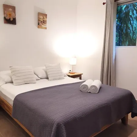 Colibri Apartments - 4 Min Walk To The Beach! Playa Santa Teresa  Exterior foto