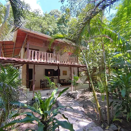 Colibri Apartments - 4 Min Walk To The Beach! Playa Santa Teresa  Exterior foto