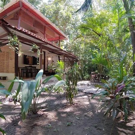 Colibri Apartments - 4 Min Walk To The Beach! Playa Santa Teresa  Exterior foto
