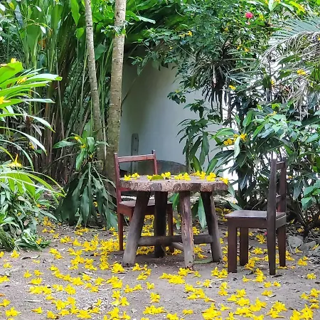 Colibri Apartments - 4 Min Walk To The Beach! Playa Santa Teresa  Exterior foto