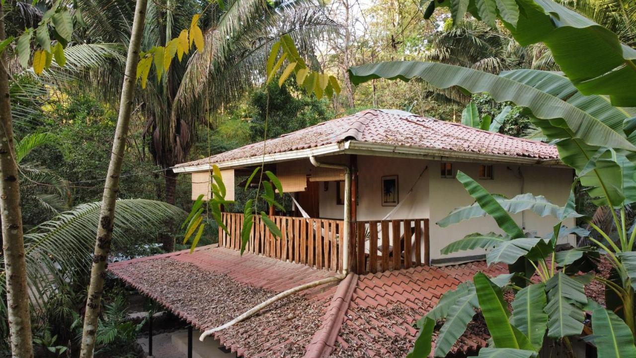 Colibri - 4 Min Walk To The Beach! Playa Santa Teresa (Puntarenas)